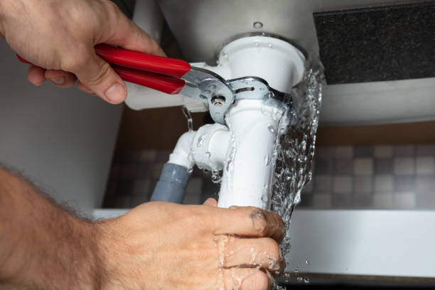 Best Water damage cleanup near me  in Shelley, ID