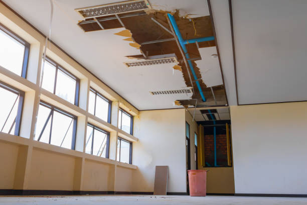 Best 24/7 water damage repair  in Shelley, ID