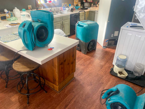 Best Commercial water damage restoration  in Shelley, ID