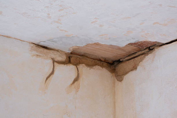 Best Professional water damage repair  in Shelley, ID