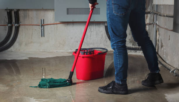 Best Water damage restoration near me  in Shelley, ID