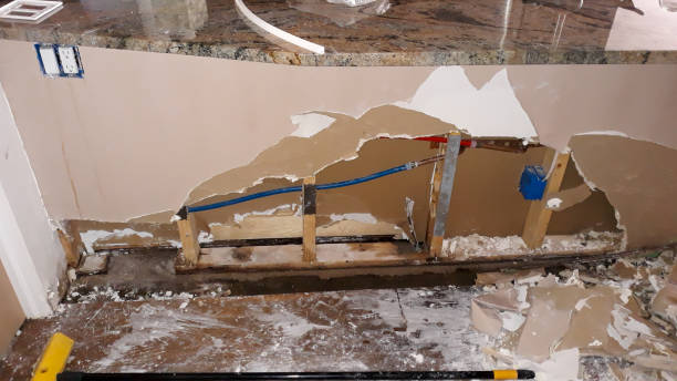 Best Water damage contractors near me  in Shelley, ID