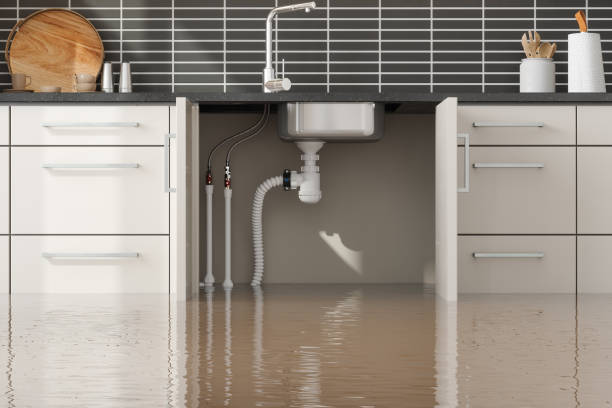 Best Water damage contractors near me  in Shelley, ID