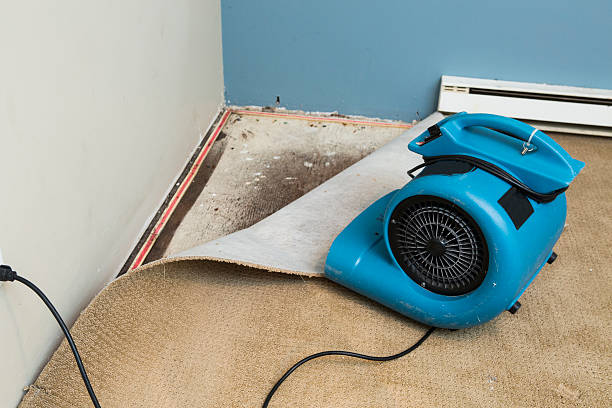 Best Basement water damage restoration  in Shelley, ID
